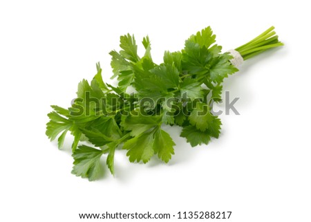 Bouquet of fresh green lovage twigs isoaled on white background Royalty-Free Stock Photo #1135288217