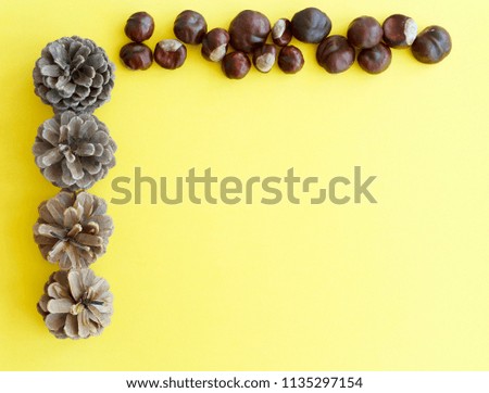 Picture of autumn background with chestnuts and pine cone with copy space over beige background