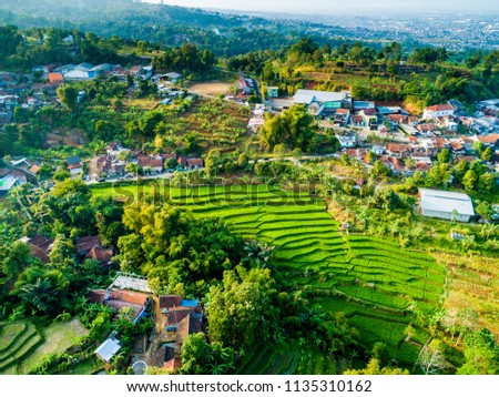 Aerial View of Rice Field Terrace and Rural Area, Bandung, West Java Indonesia, Asia