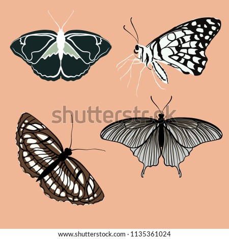 Retro colors butterflies isolated on background. Pretty vector butterfly set with vintage palette