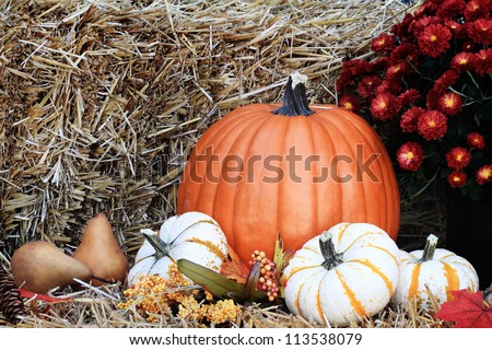 Pumpkins and Chrysanthemums on a bale of straw with berries and pears.