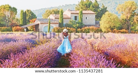 Lovely girl dressing in blue boho chic dress and straw hat walking  amazing blooming field of lavender in Provence, France. Panoramic view. Post production photo in traditional Provencal pastel tones.