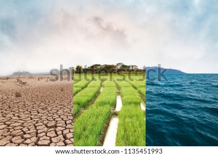 Climate change, compare image with Drought, Green field and Ocean metaphor Nature disaster, World climate and Environment, Ecology system. Royalty-Free Stock Photo #1135451993