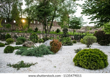 Various fragrant coniferous trees and bushes in a park of stones under the open sky. Shades of green and turquoise, light and dark. Needles and deciduous.