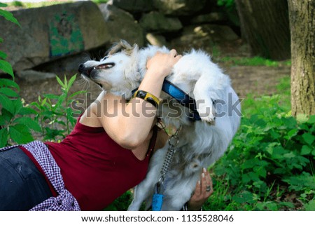 Instructor in dog training