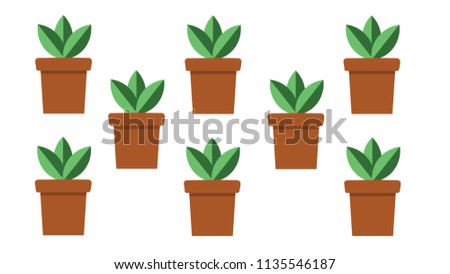 Plant in pots wallpaper