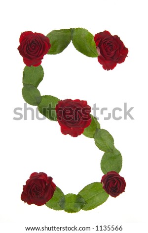 Flowers arranged into the shape of the letter S on a pure white background.