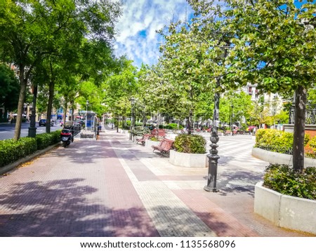 Intense green colors of the plants and flowers under the blue sky in the famous Chamberi square in Madrid the capital of Spain, in Europe. The picture was taken in Summer, in a sunny morning.
