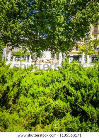Intense green colors of the plants and flowers under the blue sky in the famous Chamberi square in Madrid the capital of Spain, in Europe. The picture was taken in Summer, in a sunny morning.