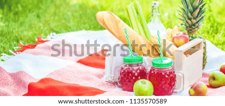 picnic basket, fruit, juice in small bottles, apples, pineapple summer, rest, plaid, grass Copyspace Banner