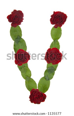 Flowers arranged into the shape of the letter V on a pure white background.