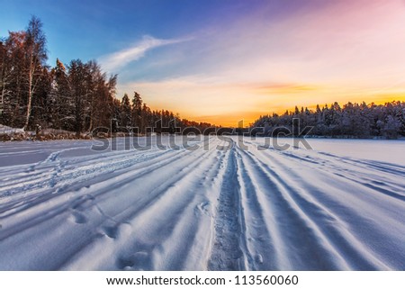 Beautiful winter sunset near the forest. Nature background.
