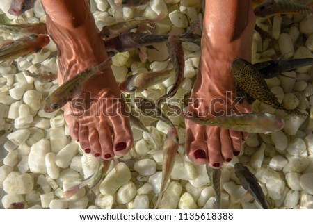 Fish spa feet pedicure skin care treatment at Bangkok on Thailand