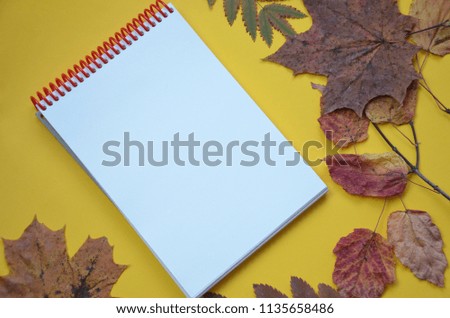 Empty open notebook in foliage with pen and decorated Autumn leaf. Shallow DOF, focus on the blank page. Space for your text on the page