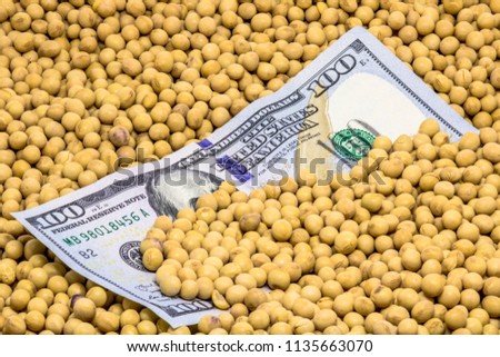 Agricultural concept, soybean at 100 dollar banknote