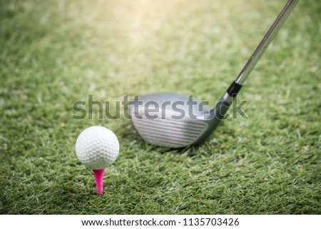 The Golf club and golf ball  on green grass 