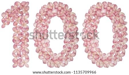 Arabic numeral 100, one hundred, from flowers of hydrangea, isolated on white background