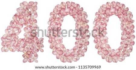 Arabic numeral 400, four hundred, from flowers of hydrangea, isolated on white background