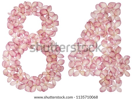 Arabic numeral 84, eighty four, from flowers of hydrangea, isolated on white background