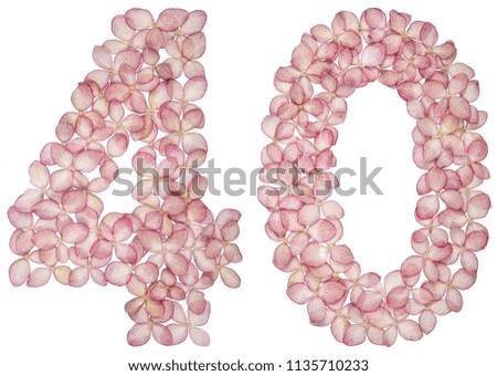 Arabic numeral 40, forty, from flowers of hydrangea, isolated on white background