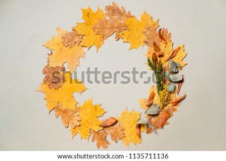 Frame of colorful autumn maple leaves closeup.