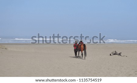 Picture of Horse on Beach