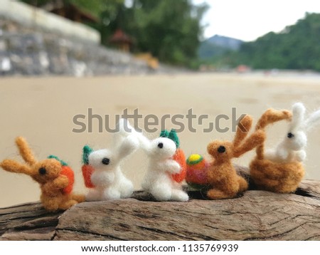 The family of Rabbit is sitting on the timber at the beach