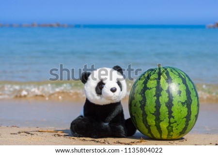 A cute panda stuffed toy sitting by the whole watermelon on the beach with blue ocean in summer. 