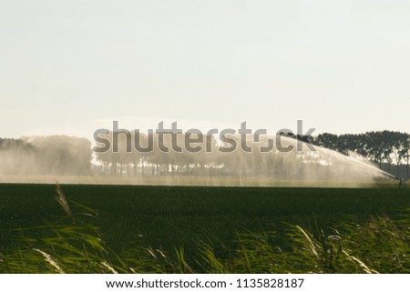 Due to the large drought in the Netherlands many farmers are irrigating their picture was taken on the island goeree overflakkee