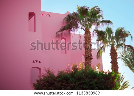 Simplicity in detail. Pink house. Tree. Palm tree. Blue sky and pretty view. Egypt. Summer. Hurghada. Red Sea.