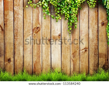 Fresh spring green grass and leaf plant over wood fence background Royalty-Free Stock Photo #113584240