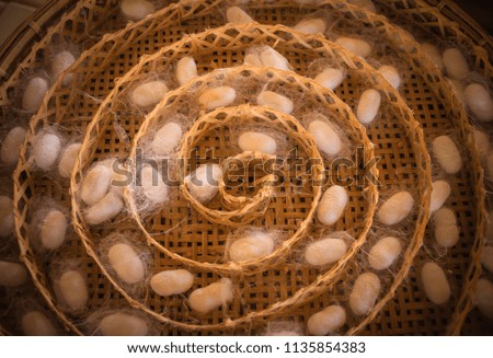 silkworm cocoons shell in bamboo tray.