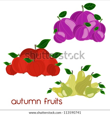 Illustration of fruit set