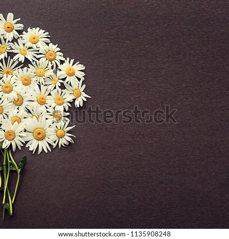 chamomile  daisy spring wreath white with yellow a lot  flower circle on a gray dark textured  background
