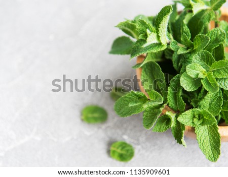Bowl with fresh mint on a old background Royalty-Free Stock Photo #1135909601