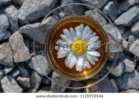 A cup of tea with a white chamomile, close-up, lit by a warm sunlight, standing on granite stones