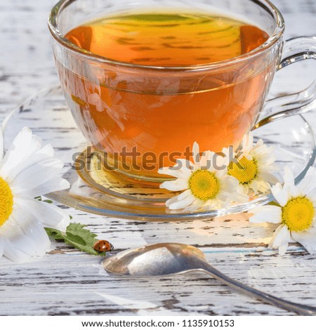 A cup of fragrant tea standing on a wooden, white table, in the rays of sunlight, in the flowers of the field chamomile, along which a ladybird crawls.
