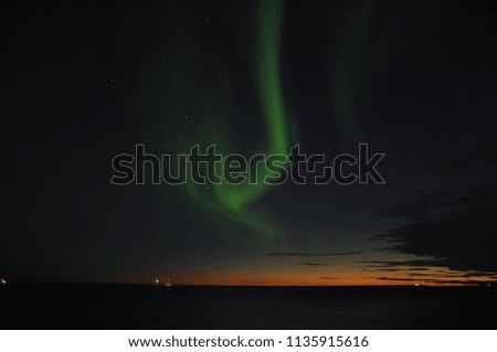 Aurora in the starry sky in the tundra