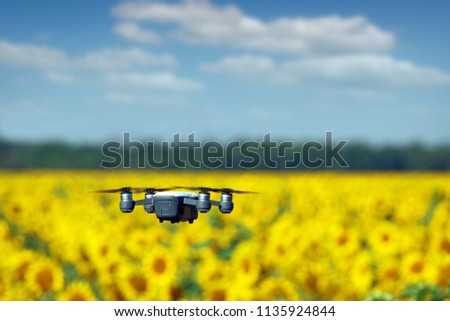 The drone is flying over the sunflower field