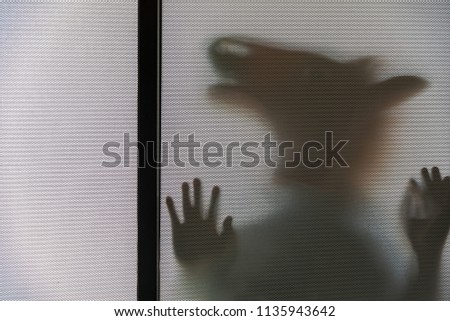Shadow blur of man in horse head rubber mask.Man behind the frosted glass.Mystery man.Halloween funny background.Blur picture