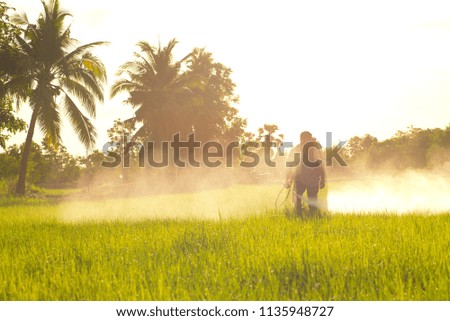 Pictures of people sprayed with fertilizers for vegetables with flow or distribution of water into the rice paddies.