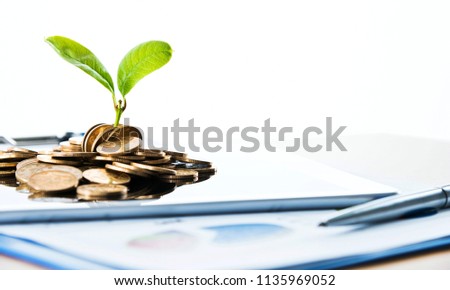 New plant growing on stack of coins