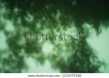 Blur green concrete wall with tree's leave shadow for background
