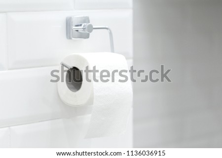 A white roll of soft toilet paper neatly hanging on a modern chrome holder