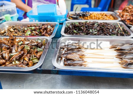 Edible roasted and spiced meal worms, fried bugs and insects on street food in Thailand. Fried silk worm is the food in Thailand- a snack often used in Asia