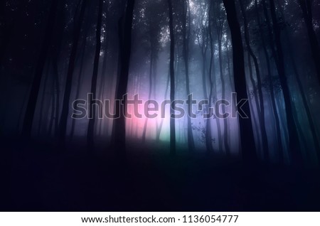strange light in paranormal forest landscape at night Royalty-Free Stock Photo #1136054777
