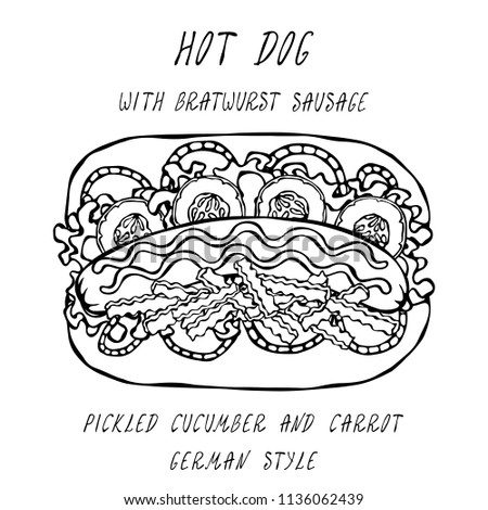 German Style Hot Dog Bratwurst Sausage, Lettuce Salad, Pickled Cucumber and Carrot, Mustard, Ketchup. Fast Food Collection. Realistic Hand Drawn High Quality Vector Illustration. Doodle Style.