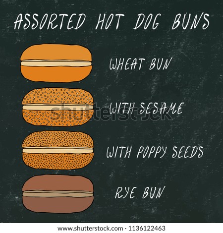 Set of Assorted Hot Dog Buns. Wheat Bun with Sesame, Poppy Seeds, Rye Bun. For Fast Food, Bar Menu. Hand Drawn High Quality Clean Vector Realistic Illustration. Doodle Style. Black Chalkboard.