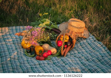Picnic nature grass background colorful picture vegetables basket seasonal harvest plaid straw hat sunlight autumn vacation healthy food