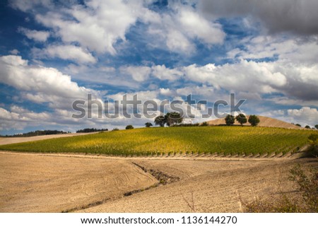 Autumn landscape - Textured agricultural background of field after harvest 